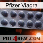 Pfizer Viagra 30